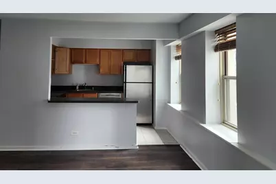 40 E 9th Street #1015, Chicago, IL 60605 - Photo 3