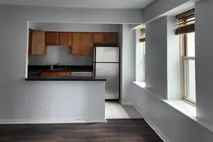 40 E 9th St, Chicago, IL 60605 - Photo 3
