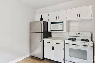 4912 Crain Street E, Skokie, IL 60077 - Photo 5
