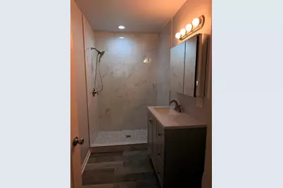 8844 S Halsted Street, Chicago, IL 60620 - Photo 9