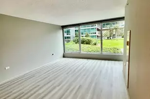 9655 Woods Dr, Skokie, IL 60077 - Photo 11