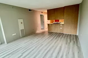 9655 Woods Dr, Skokie, IL 60077 - Photo 13