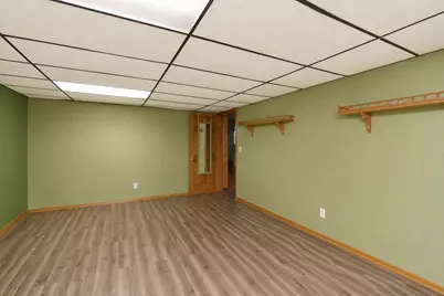 6559 Lake Road, Hopedale, IL 61747 - Photo 47