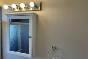 1019 Peterson Ave, Park Ridge, IL 60068 - Photo 23