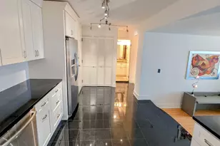 230 E Ontario St, Chicago, IL 60611 - Photo 13