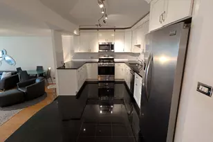 230 E Ontario St, Chicago, IL 60611 - Photo 9