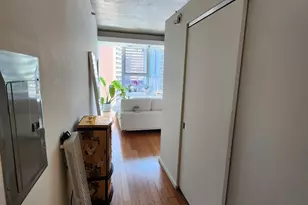 550 N St Clair St, Chicago, IL 60611 - Photo 7