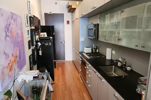 550 N St Clair St, Chicago, IL 60611 - Photo 3