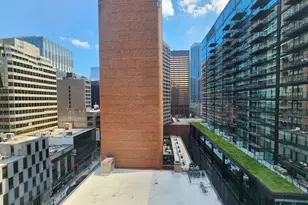 550 N St Clair St, Chicago, IL 60611 - Photo 9