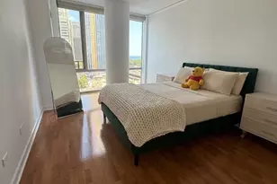 450 E Waterside Dr, Chicago, IL 60601 - Photo 5