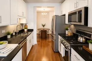 450 E Waterside Dr, Chicago, IL 60601 - Photo 3
