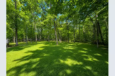 4241 Sandy Branch Road, Alma, IL 62807 - Photo 3