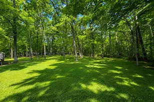 4241 Sandy Br Rd, Alma, IL 62807 - Photo 3