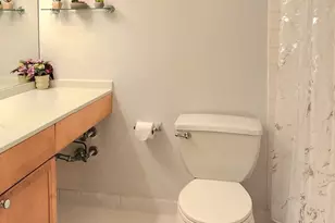 474 N Lake Shore Dr, Chicago, IL 60611 - Photo 25