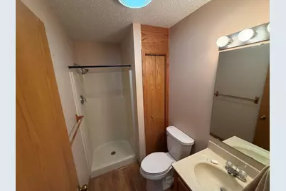 29 Shoreline Drive, Mansfield, IL 61854 - Photo 9