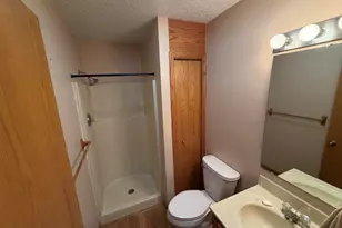 29 Shoreline Dr, Mansfield, IL 61854 - Photo 9