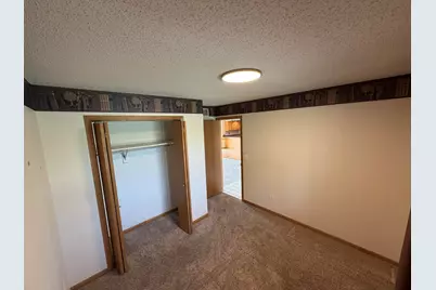 29 Shoreline Drive, Mansfield, IL 61854 - Photo 21