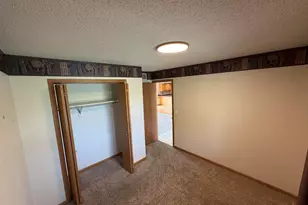 29 Shoreline Dr, Mansfield, IL 61854 - Photo 21