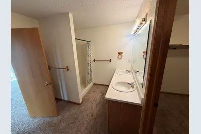 29 Shoreline Drive, Mansfield, IL 61854 - Photo 15