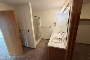 29 Shoreline Dr, Mansfield, IL 61854 - Photo 15
