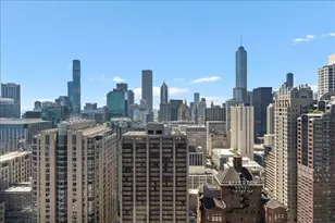 161 E Chicago Ave, Chicago, IL 60611 - Photo 31
