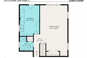 724 S Chester Ave, Park Ridge, IL 60068 - Photo 31
