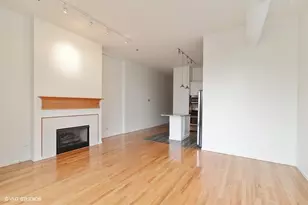 1516 S Wabash Ave, Chicago, IL 60605 - Photo 3