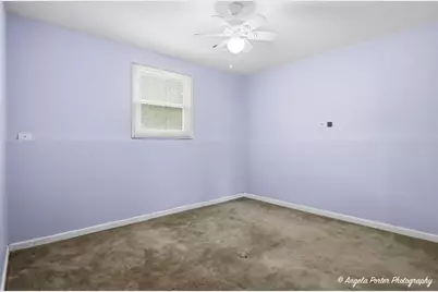 1011 Washington Avenue, Wauconda, IL 60084 - Photo 29