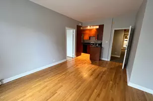732 W Bittersweet Pl, Chicago, IL 60613 - Photo 15