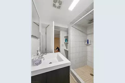 8201 S Komensky Avenue, Chicago, IL 60652 - Photo 21