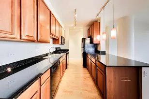 1255 S State St, Chicago, IL 60605 - Photo 15