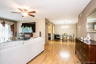 11015 S Theresa Circle, Palos Hills, IL 60465 - Photo 17