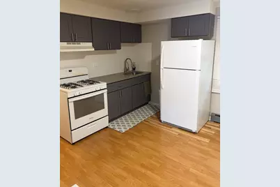 119 Cliff Street #2w, Willow Springs, IL 60480 - Photo 3