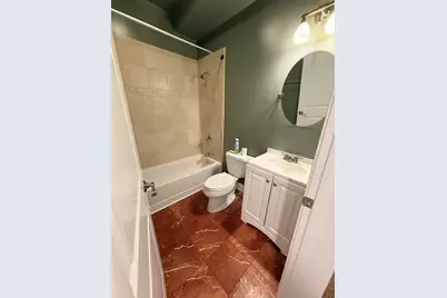 3862 S Lake Park Avenue #1s, Chicago, IL 60653 - Photo 19