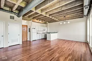 811 S Lytle St, Chicago, IL 60607 - Photo 3