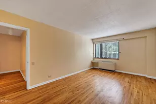 1115 S Plymouth Ct, Chicago, IL 60605 - Photo 23
