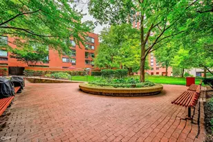 1115 S Plymouth Ct, Chicago, IL 60605 - Photo 33