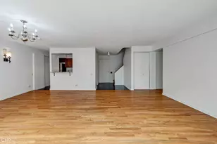 1115 S Plymouth Ct, Chicago, IL 60605 - Photo 19