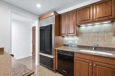 25 E Superior Street #2803, Chicago, IL 60611 - Photo 17