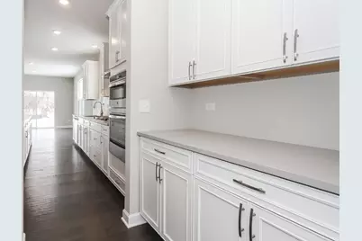 61 Pierce Drive, Downers Grove, IL 60515 - Photo 5