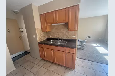 3001 Thatcher Avenue #2N, River Grove, IL 60171 - Photo 3