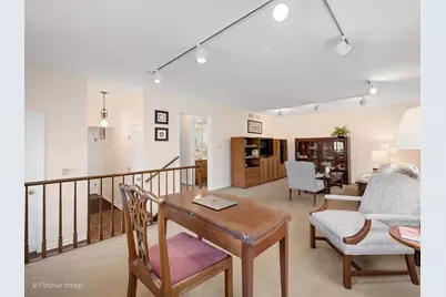 533 S Spring Avenue, La Grange, IL 60525 - Photo 19