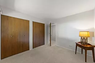 252 Shoreline Cir, Schaumburg, IL 60194 - Photo 19