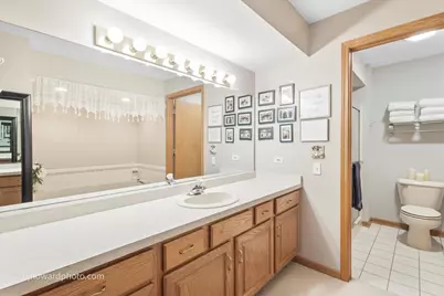 19423 Manchester Drive #19423, Mokena, IL 60448 - Photo 17