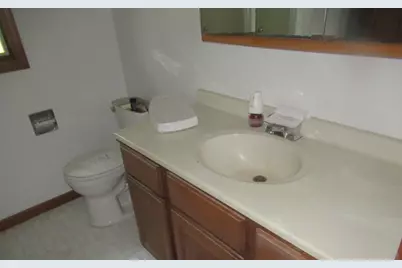 81 Lillian Lane, Yorkville, IL 60560 - Photo 17