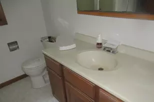 81 Lillian Ln, Yorkville, IL 60560 - Photo 17