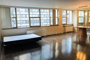 40 E Cedar St, Chicago, IL 60611 - Photo 5