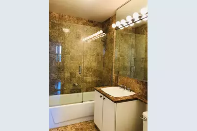 40 E Cedar Street #11C, Chicago, IL 60611 - Photo 9