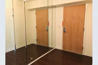 40 E Cedar Street #11C, Chicago, IL 60611 - Photo 3