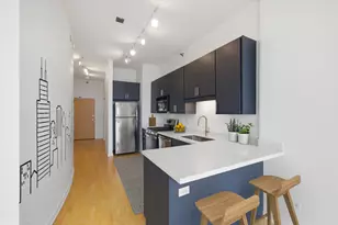 1600 S Indiana Ave, Chicago, IL 60616 - Photo 5